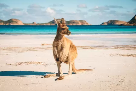 Kalgoorlie