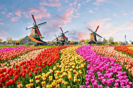 Arnhem