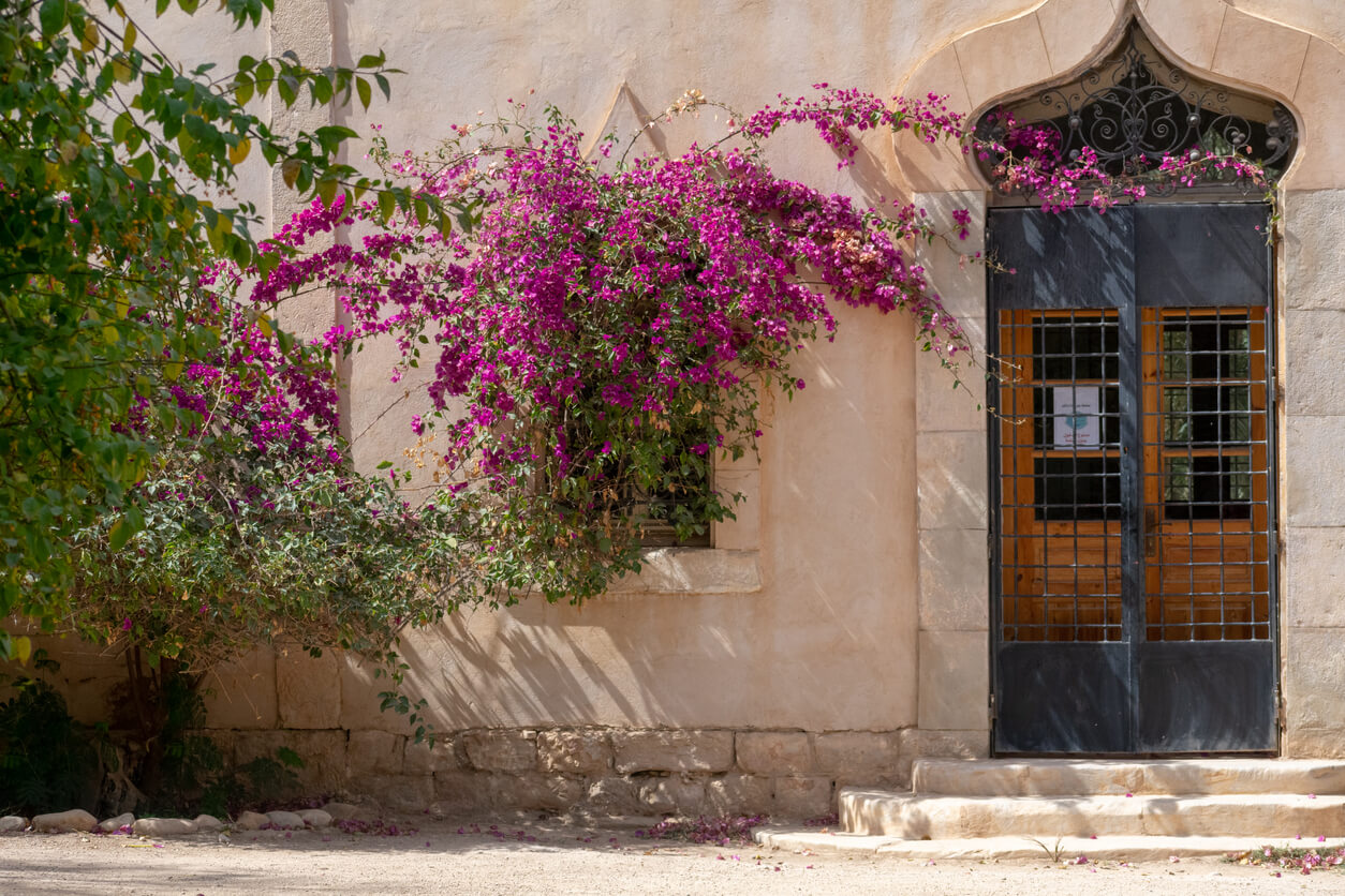 Biskra :  Biskra :