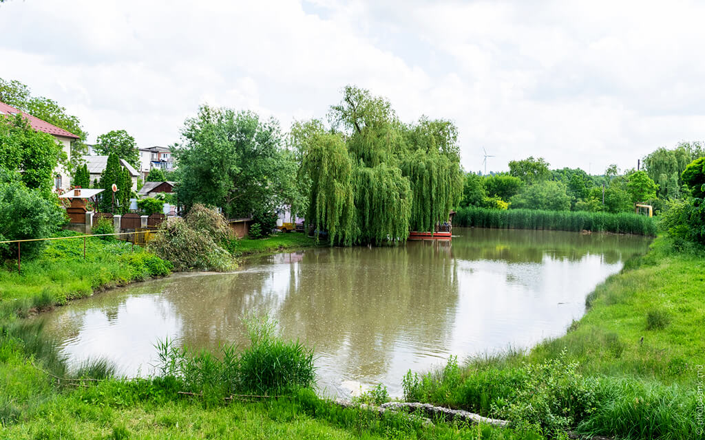 Briceni :  Briceni :