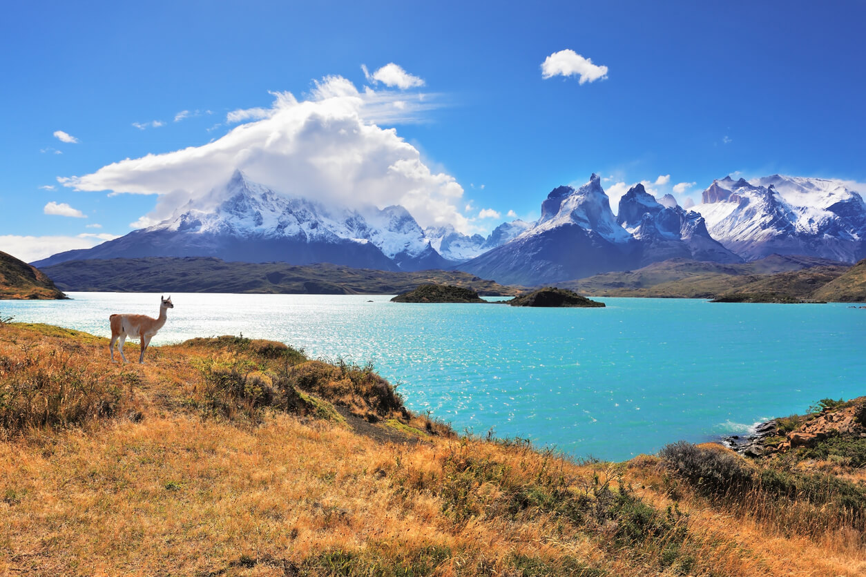 Il Cile: Lac Pehoe, parc national Torres del Paine dans le sud du Chili