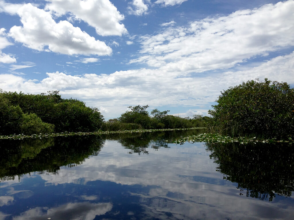 Parco nazionale delle Everglades : 
