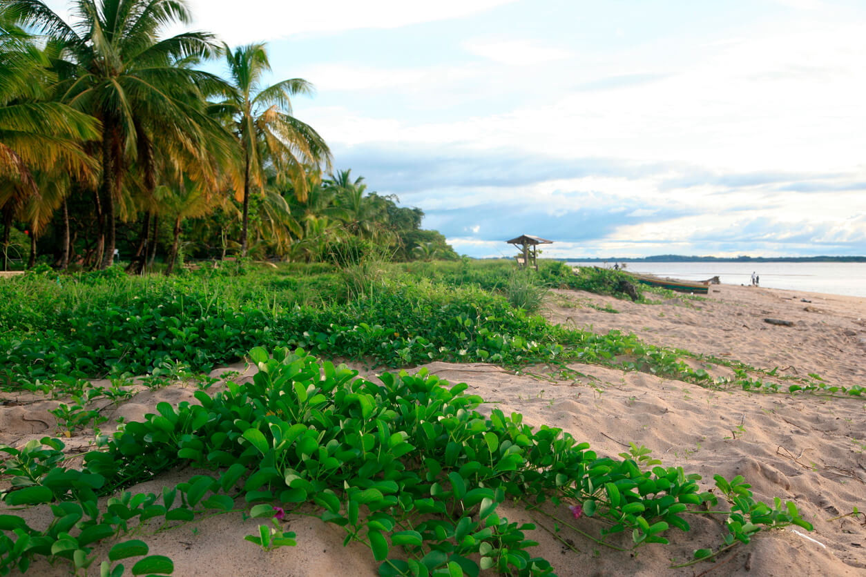 Guiana francese: Plage des Hattes à Yalimapo, Guyane française