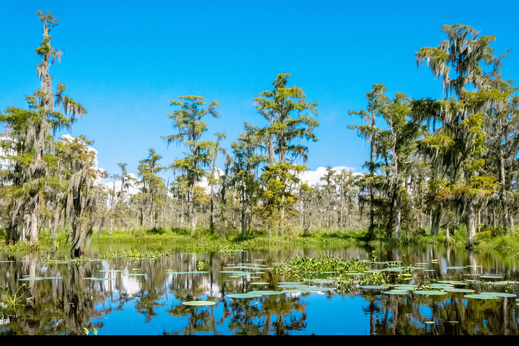 Houma :  Houma :