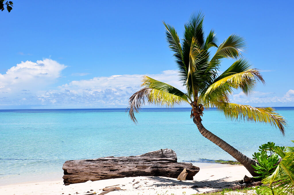 Isola di Kakaban : Isola di Kakaban :