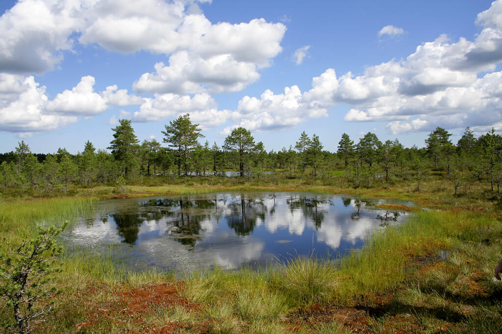 Parco Nazionale di Lahemaa : Parco Nazionale di Lahemaa :