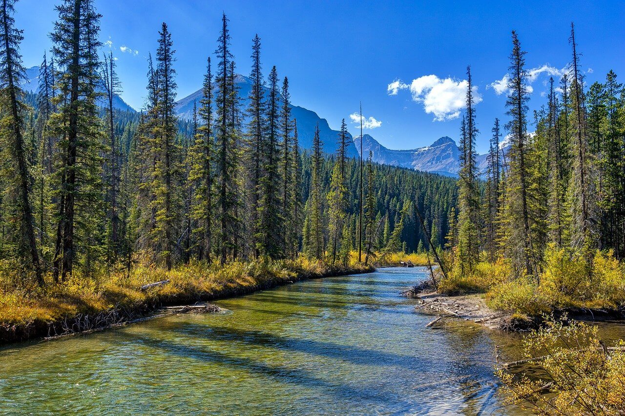 Jasper National Park : Le parc national de Jasper
