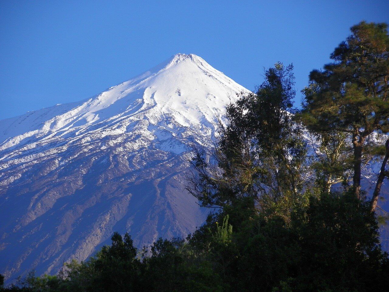 Parco Nazionale del Teide : Le parc national du Teide Parco Nazionale del Teide : Le parc national du Teide