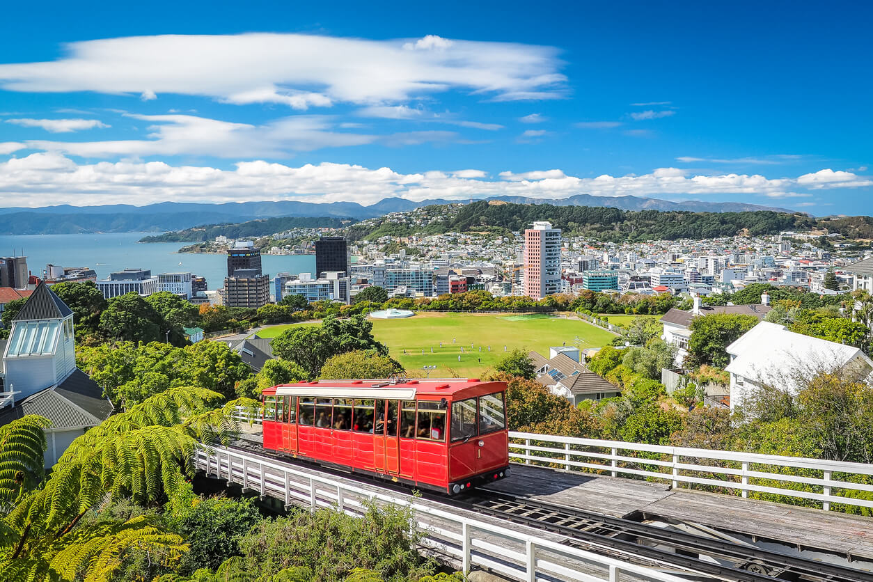 Wellington : Wellington