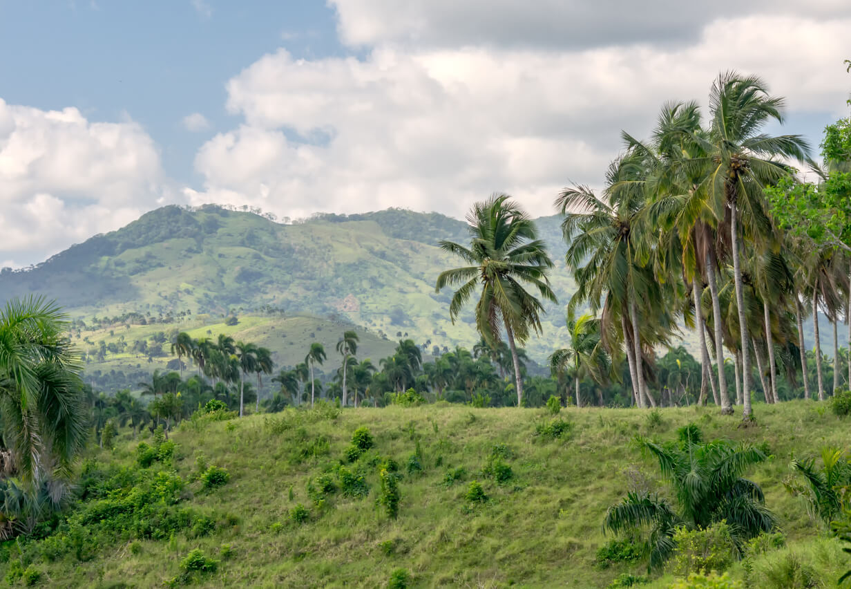 Constanza : Constanza Constanza : Constanza