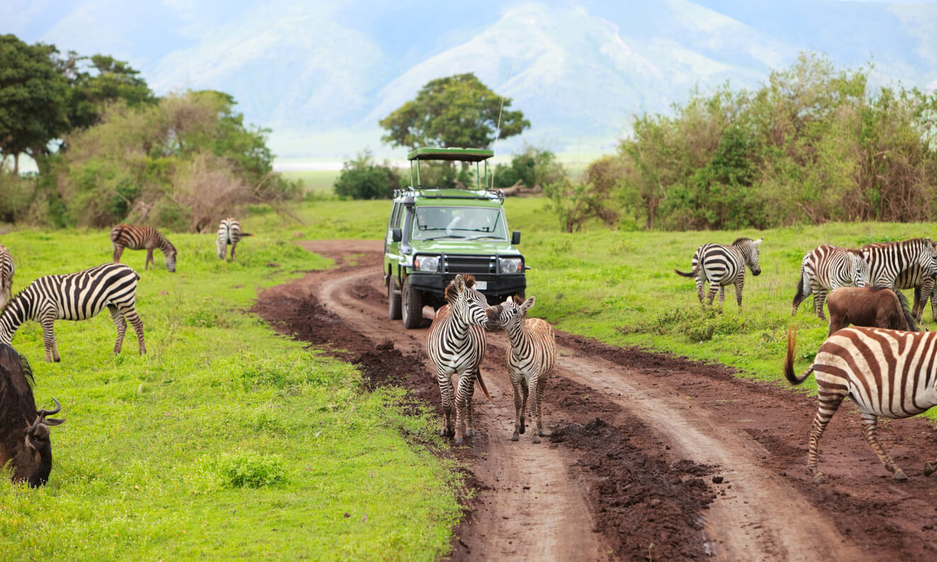 Ngorongoro : La zone de conservation du Ngorongoro