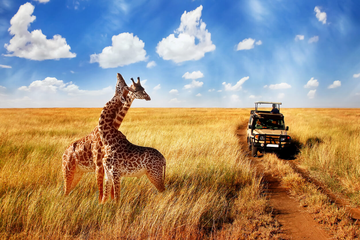 Serengeti National Park : Le parc national du Serengeti