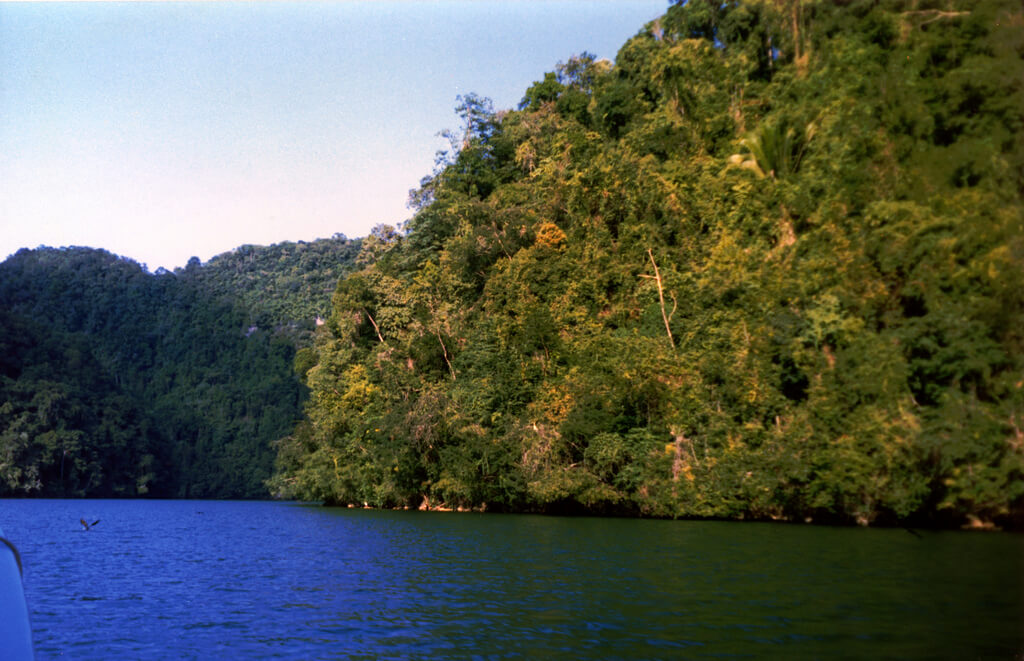 Río Dulce : Río Dulce :