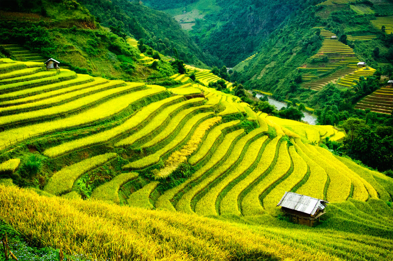 Sapa (Vietnam del Nord) : Mu Cang Chai, Sapa