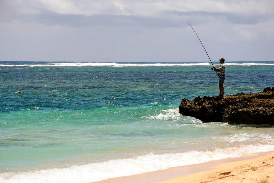 Tamarin :  Tamarin :