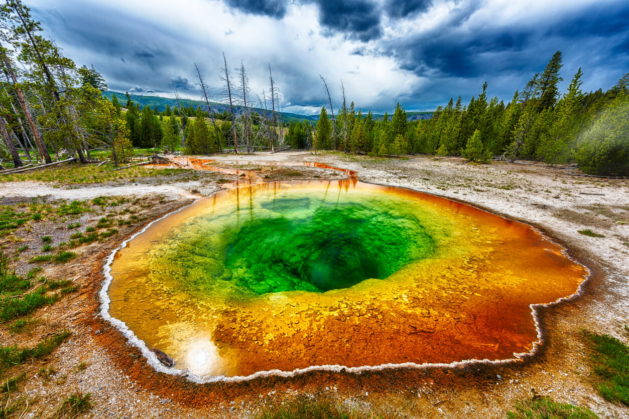 Parco Nazionale di Yellowstone a Giugno 2024 Clima, Meteo e